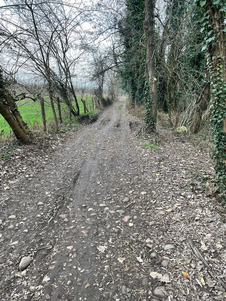 Immagine caricata da Alessias