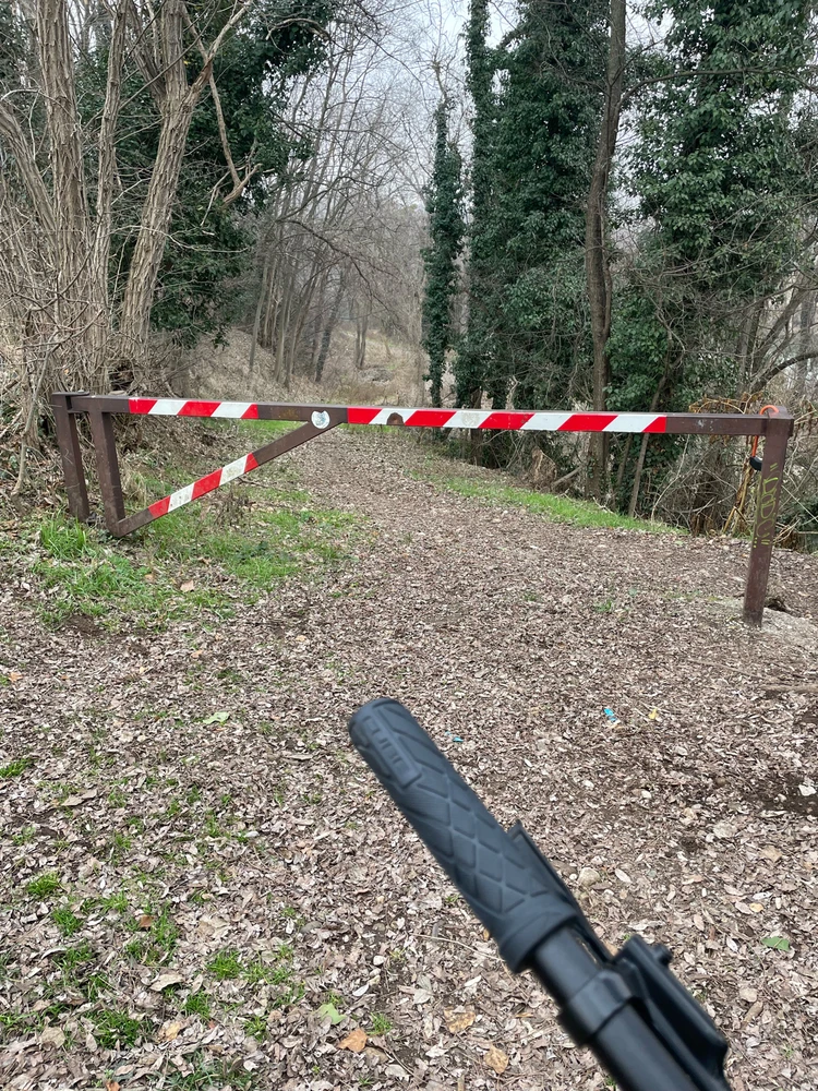 Immagine caricata da Alessias