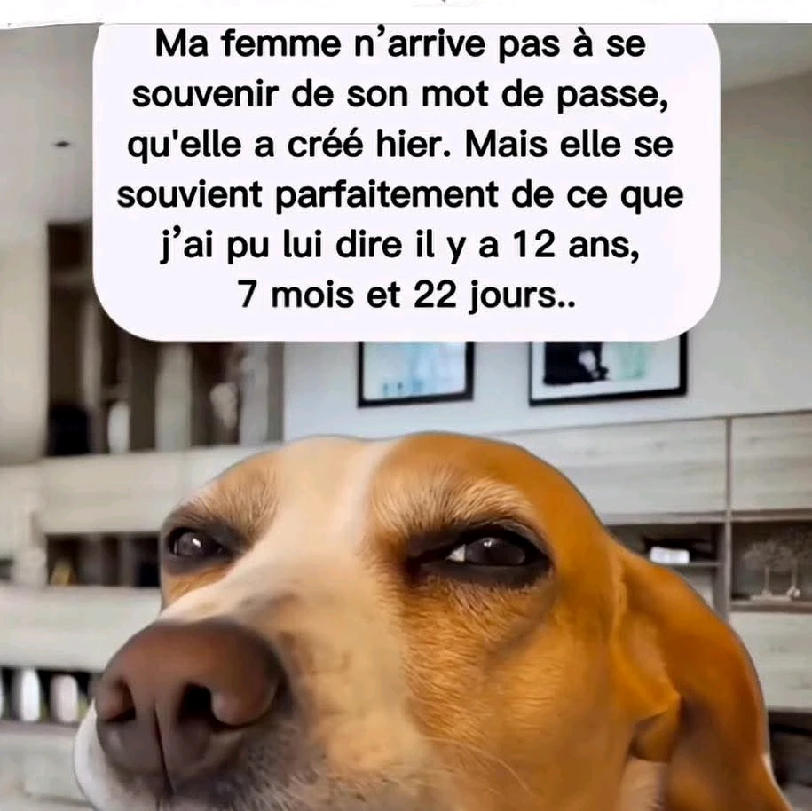 GIF ajouté par Jean-Guillaume