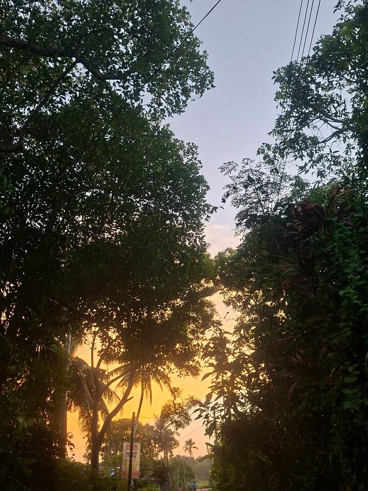 GIF uploaded by Tharika