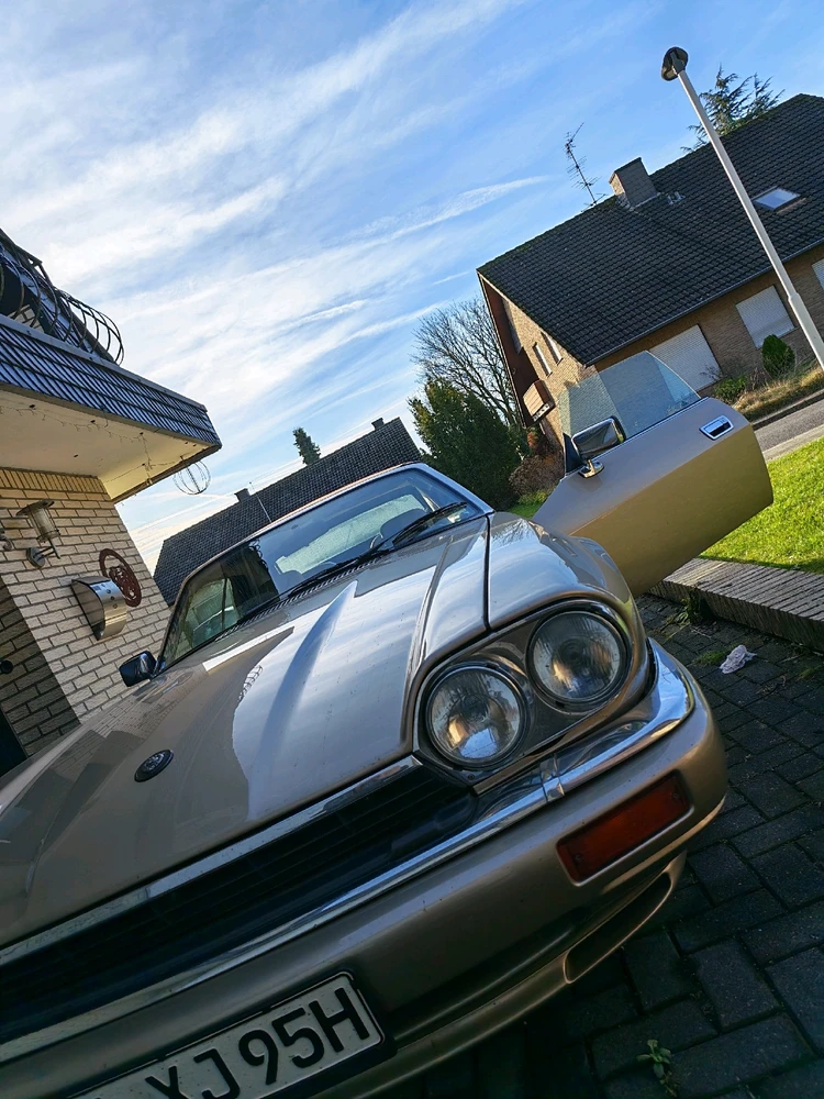 GIF hochgeladen von Matthias