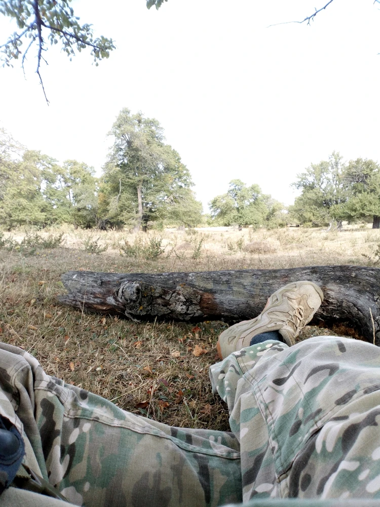 Image uploaded by Nodari