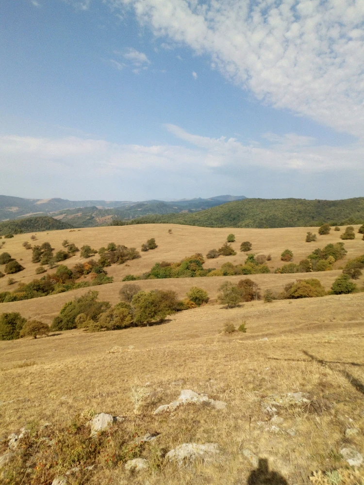 Image uploaded by Nodari