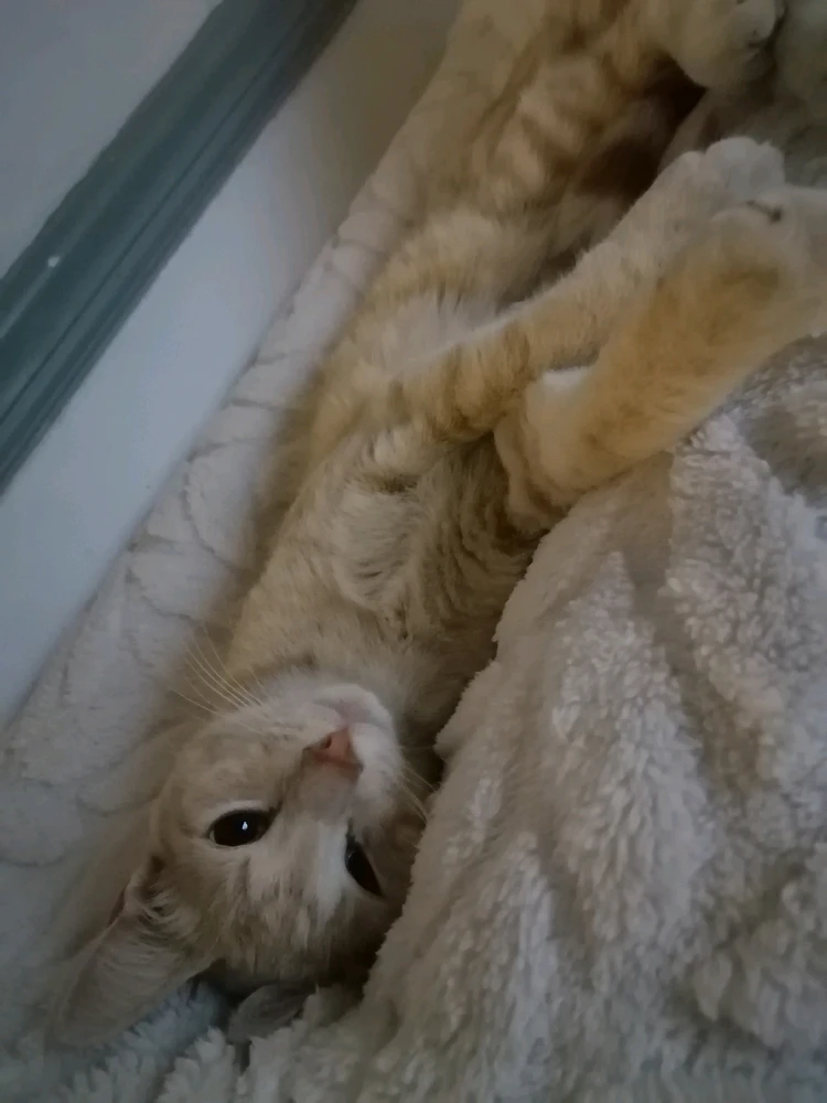 Image uploaded by Louise