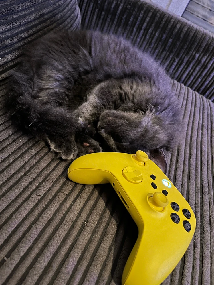 Bild hochgeladen von Steffen