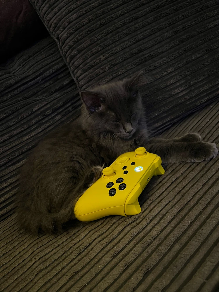 Bild hochgeladen von Steffen