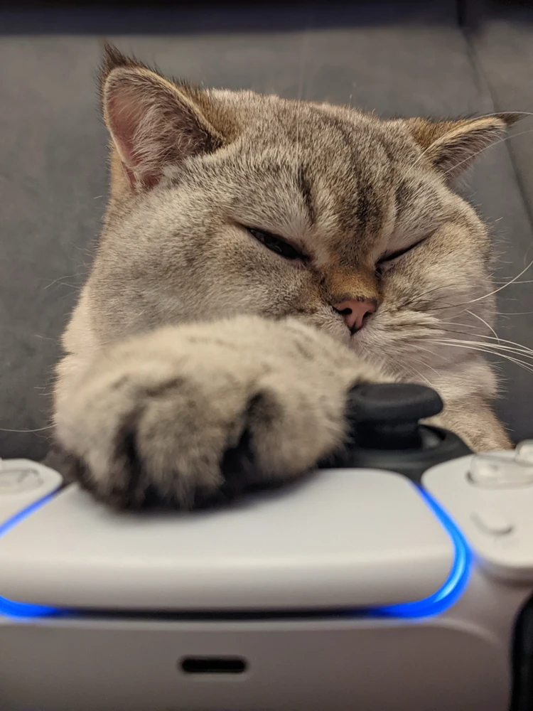 Bild hochgeladen von Steffen