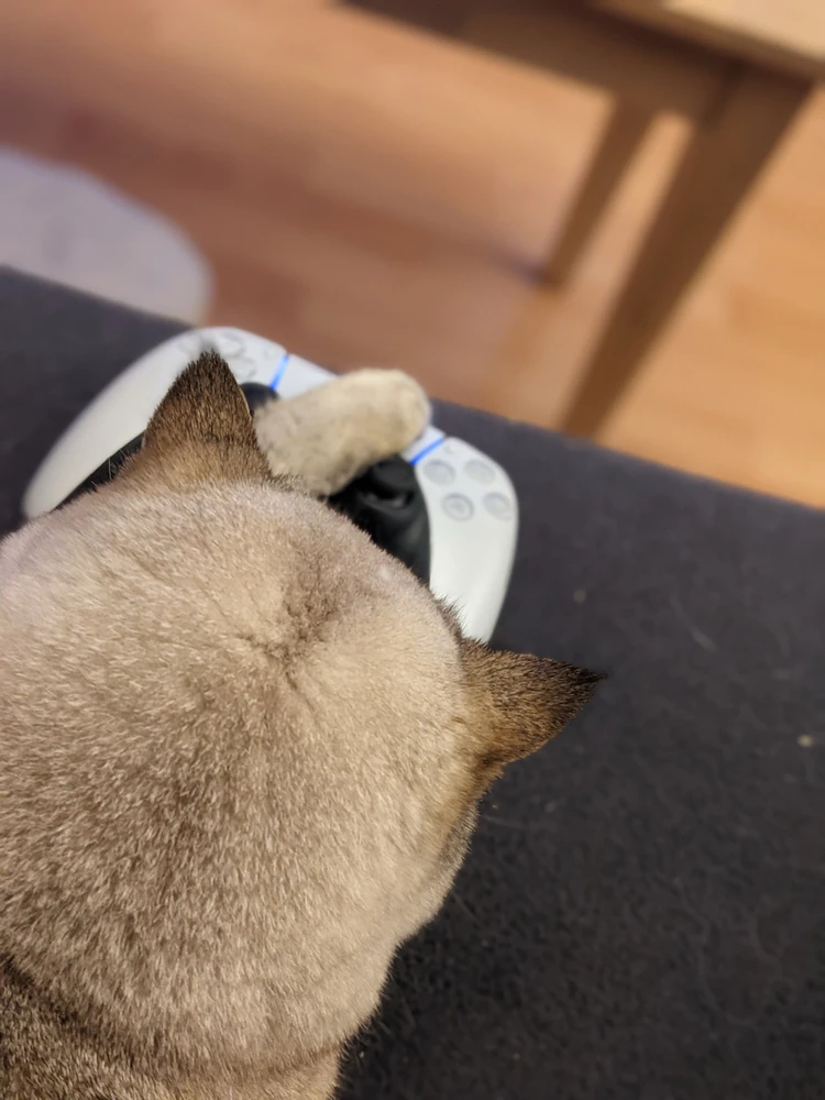 Bild hochgeladen von Steffen