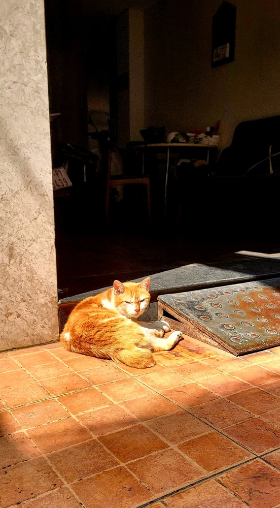 GIF uploaded by Tofu 🍜🍗🍟