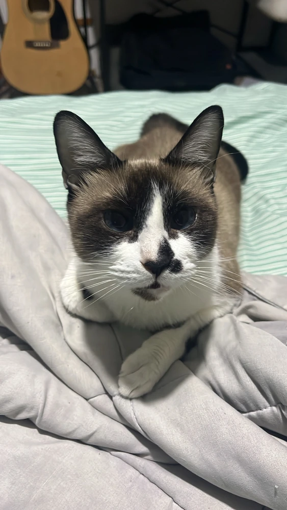 GIF uploaded by Carlos