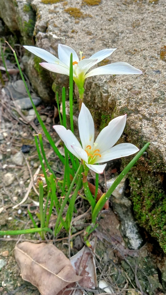 GIF uploaded by Anna