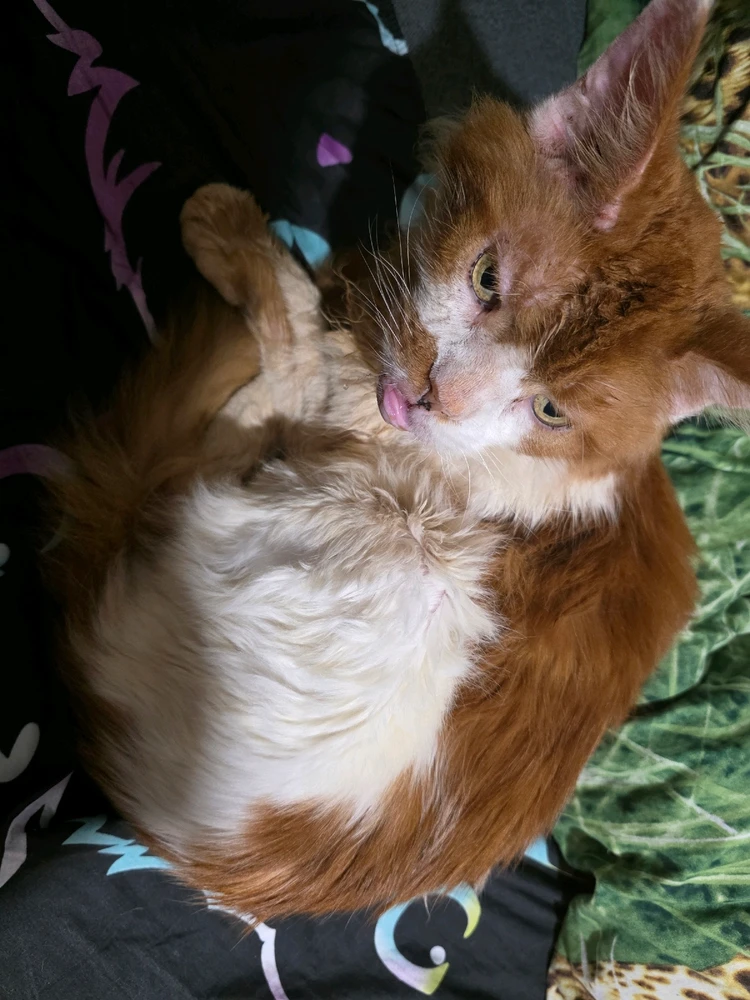 GIF dodany przez Umberto