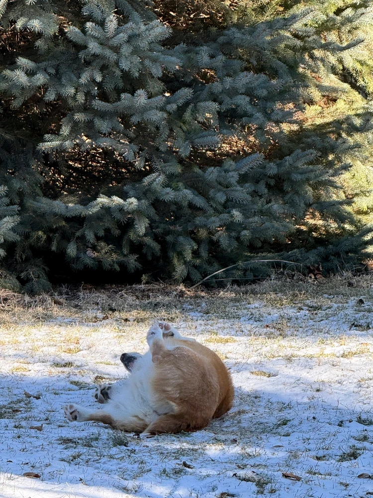 GIF uploaded by That