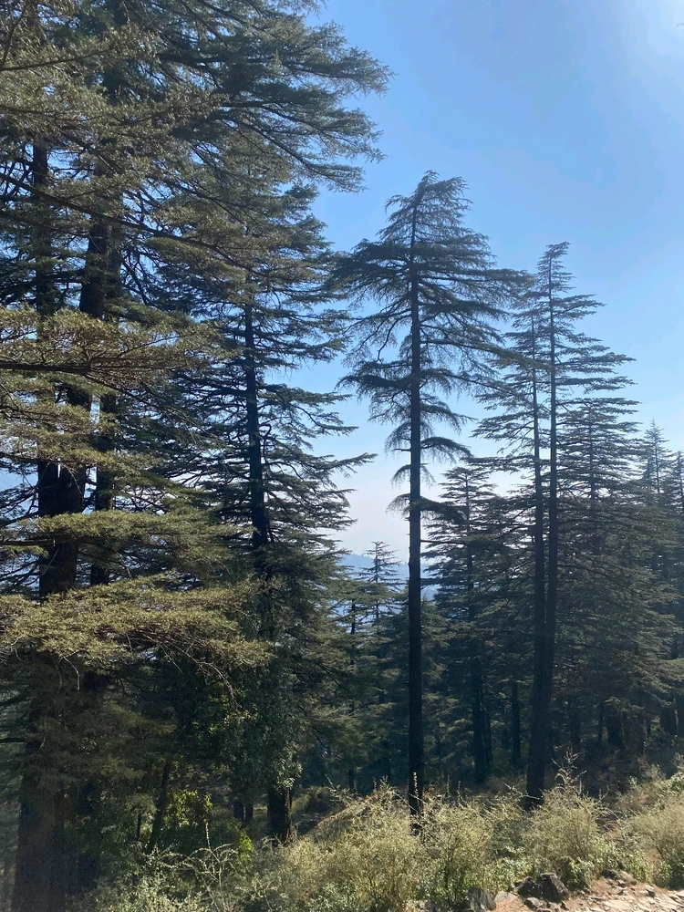 Image uploaded by Aditya