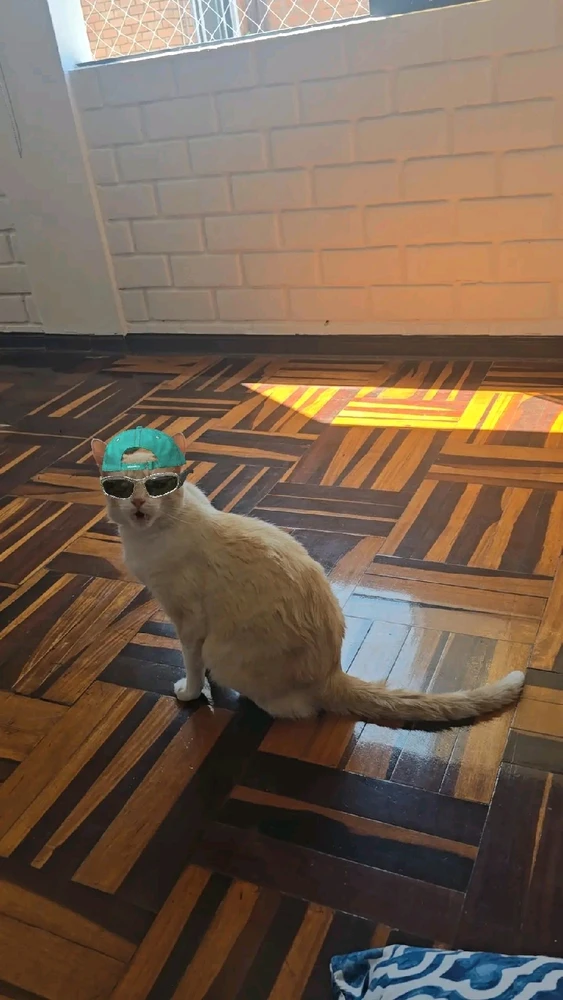 GIF uploaded by Yair