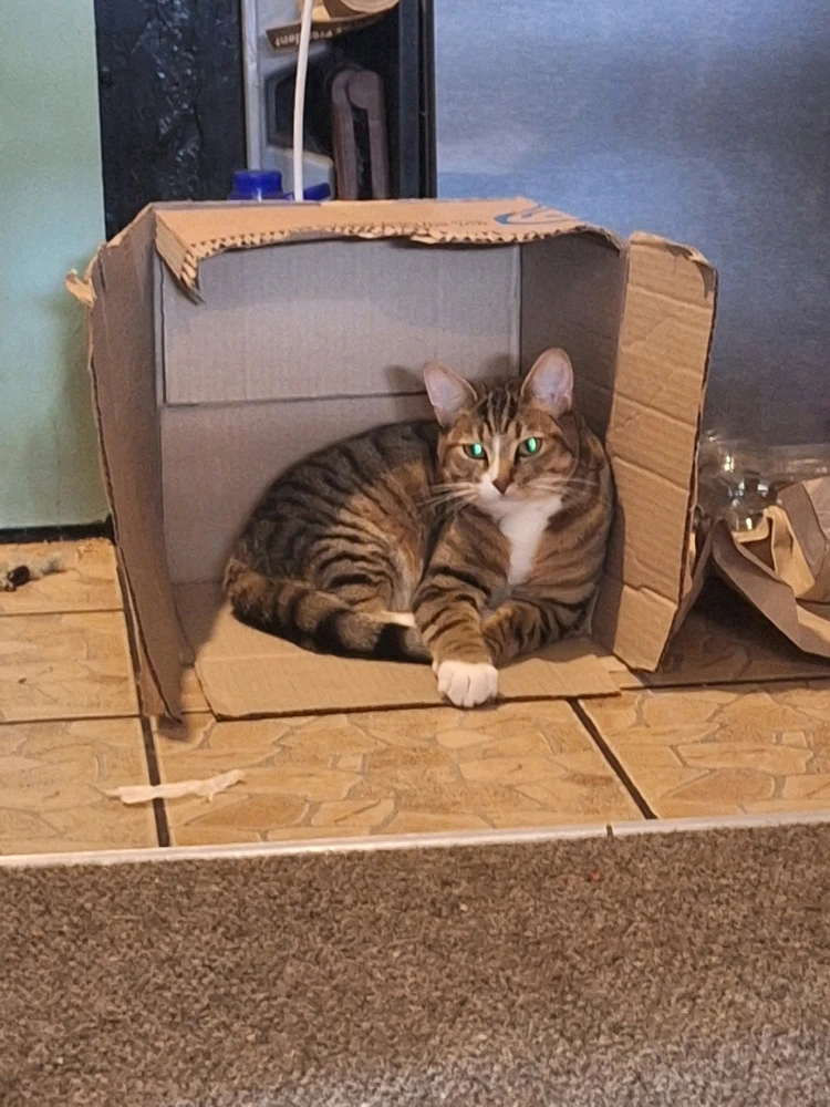 GIF uploaded by Charlotte