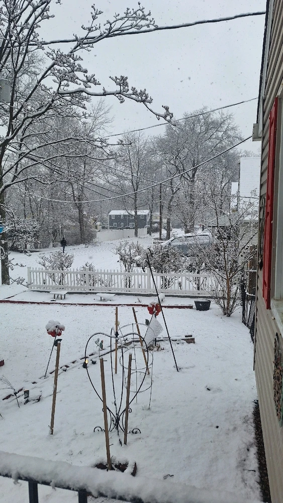 GIF uploaded by Jonathan