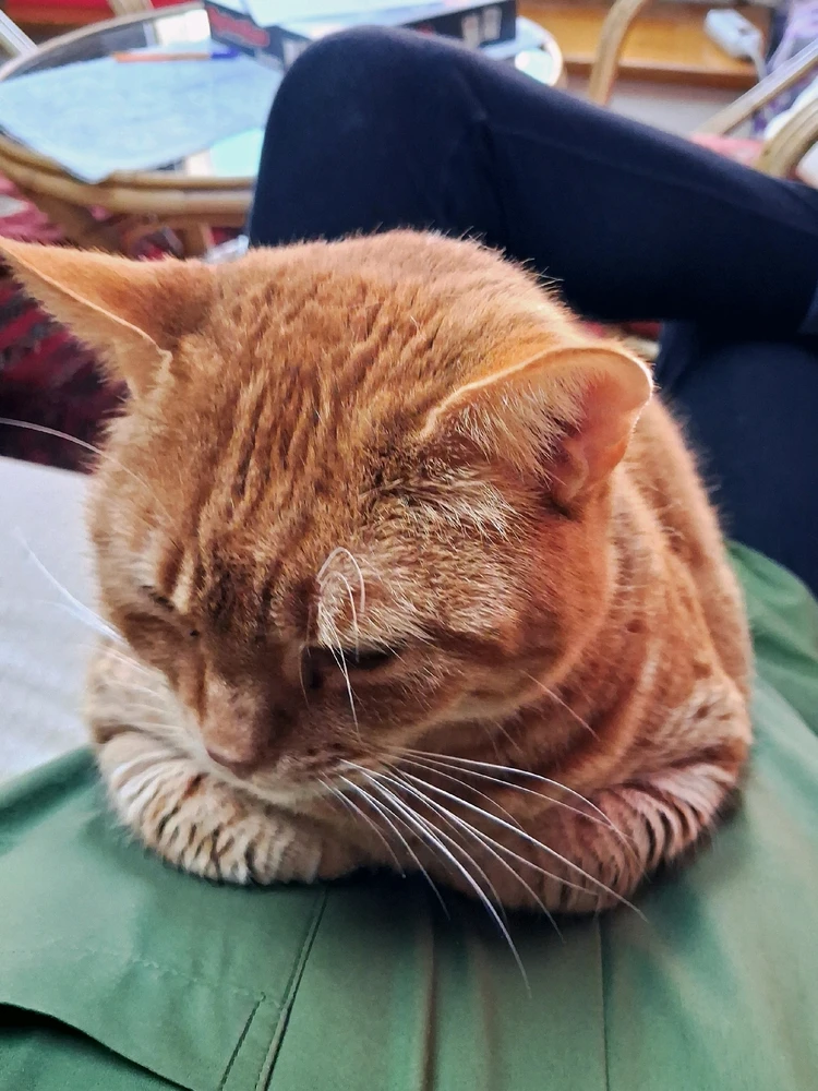 GIF uploaded by Michalis