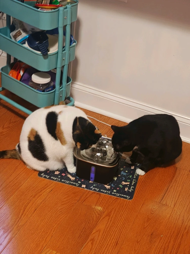 Image uploaded by Charlie