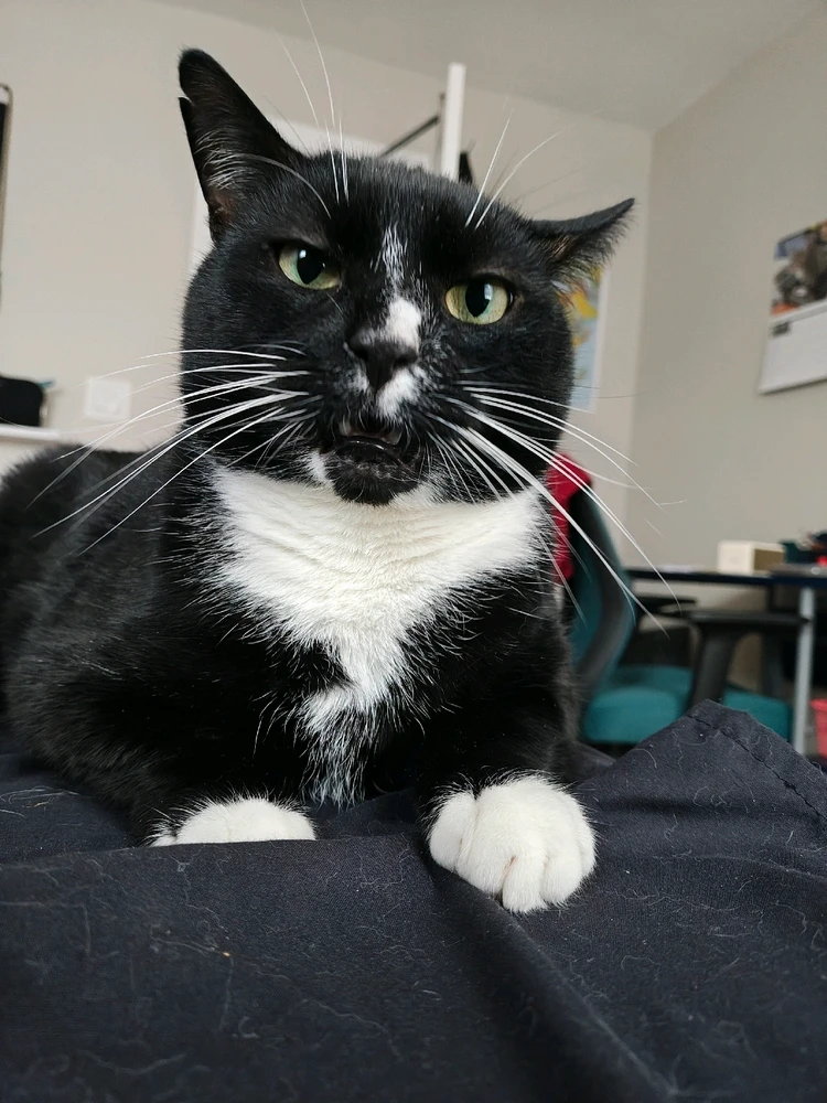 Image uploaded by Charlie