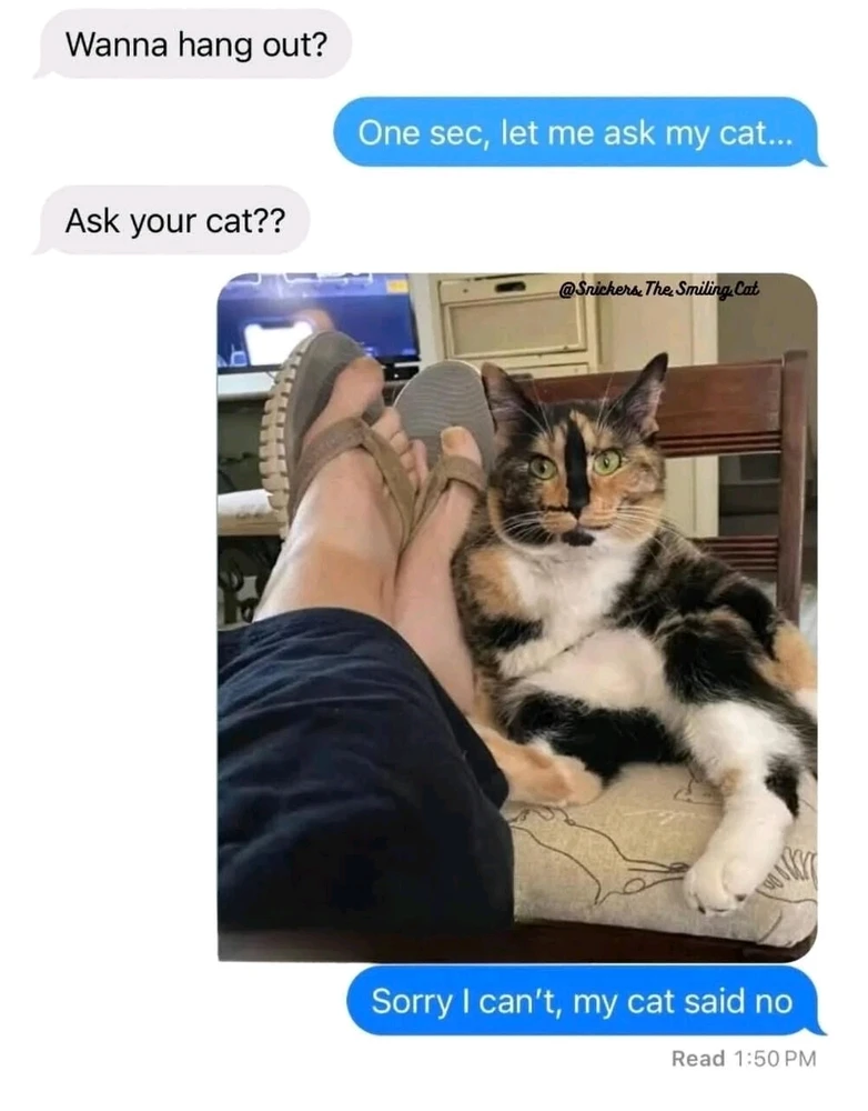 GIF uploaded by Waynez