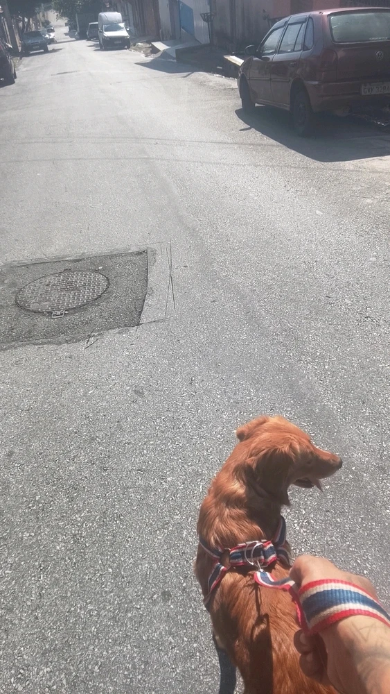 GIF enviado por Vitor Manuel