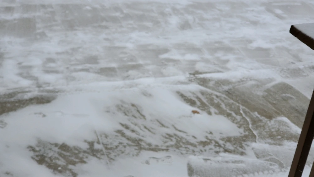 Image uploaded by Bo