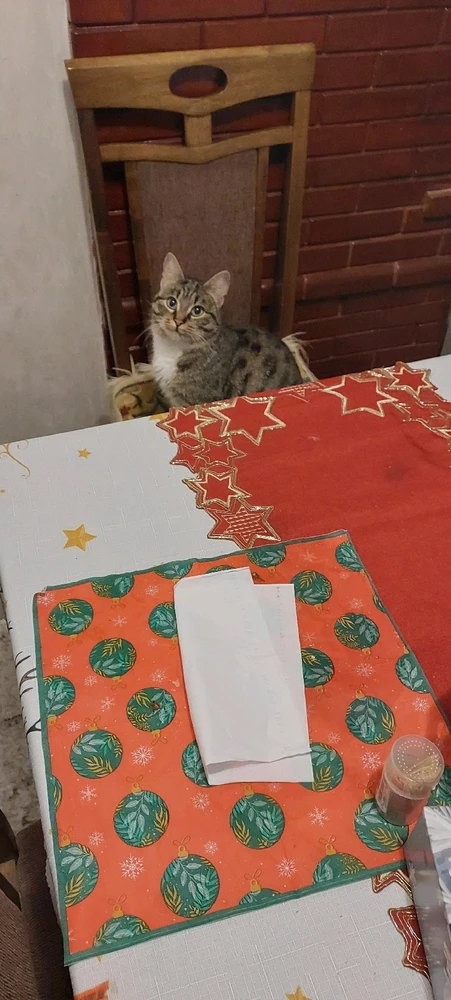 GIF uploaded by Alex