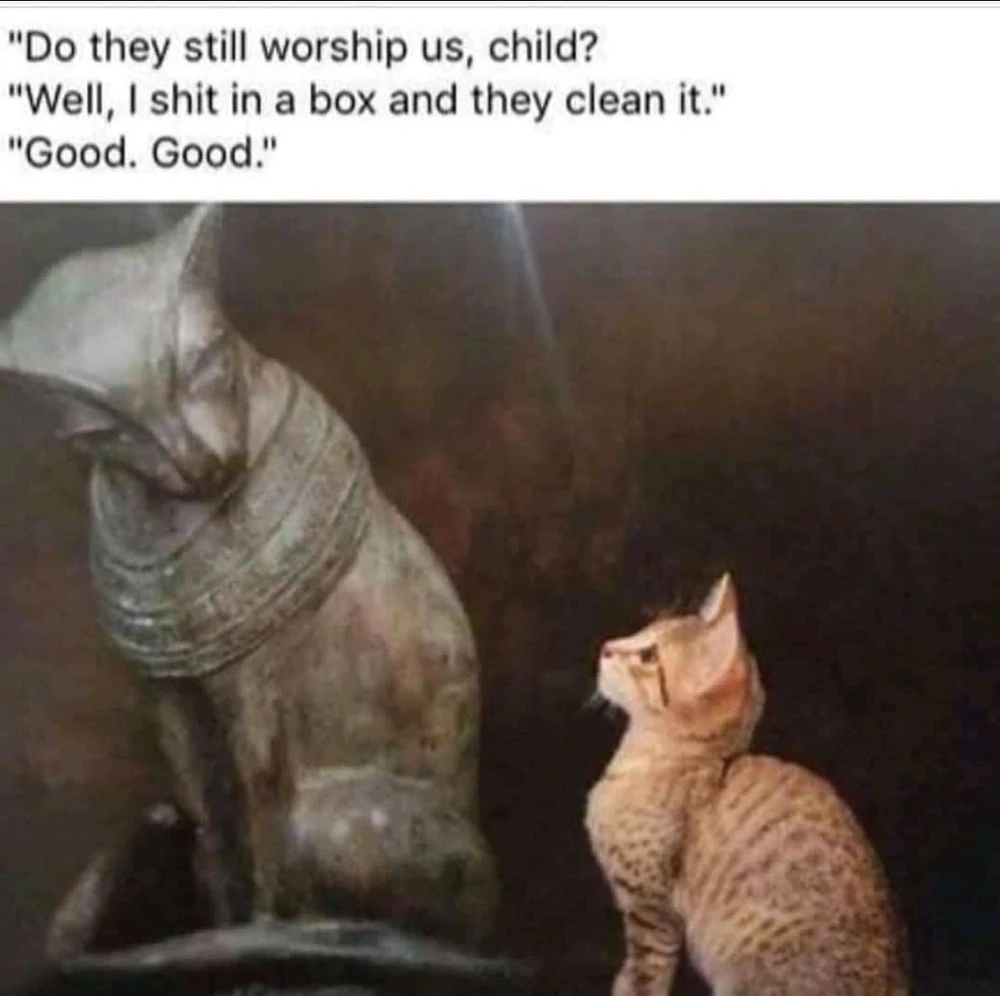 GIF uploaded by Alfredo