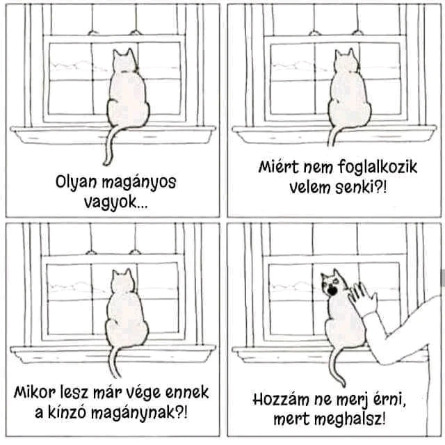 Dona 🦝👻🦝 által feltöltött GIF