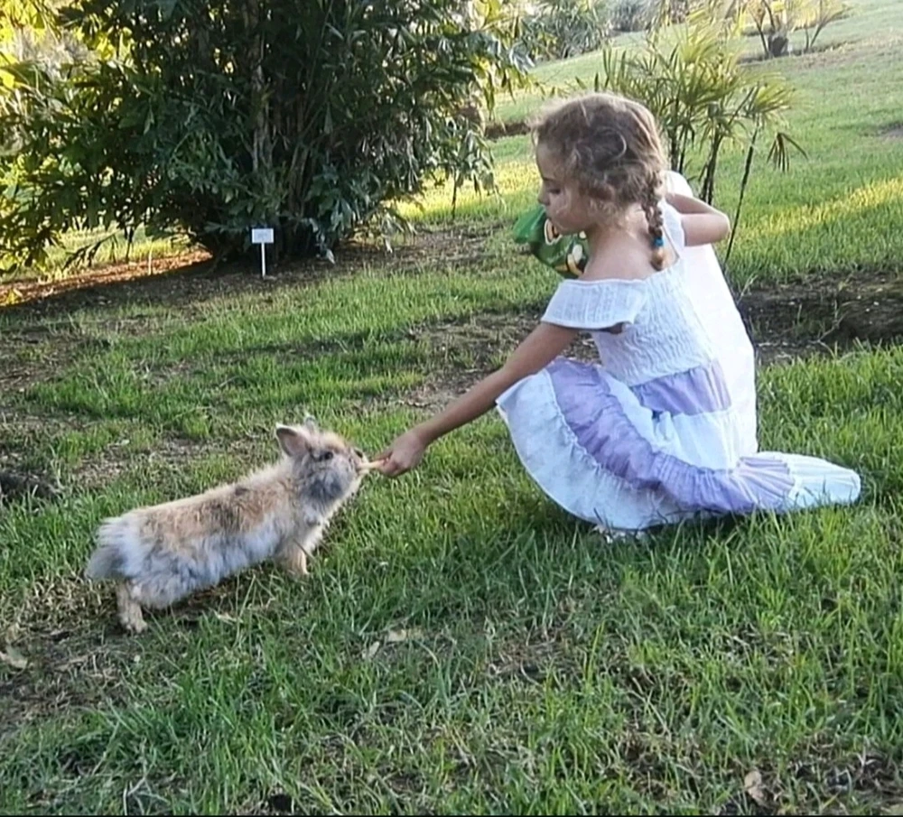 Imagen subida por Michi