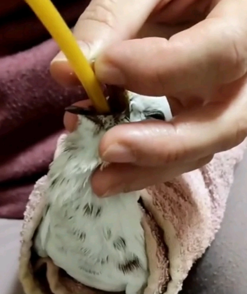 Imagen subida por Michi