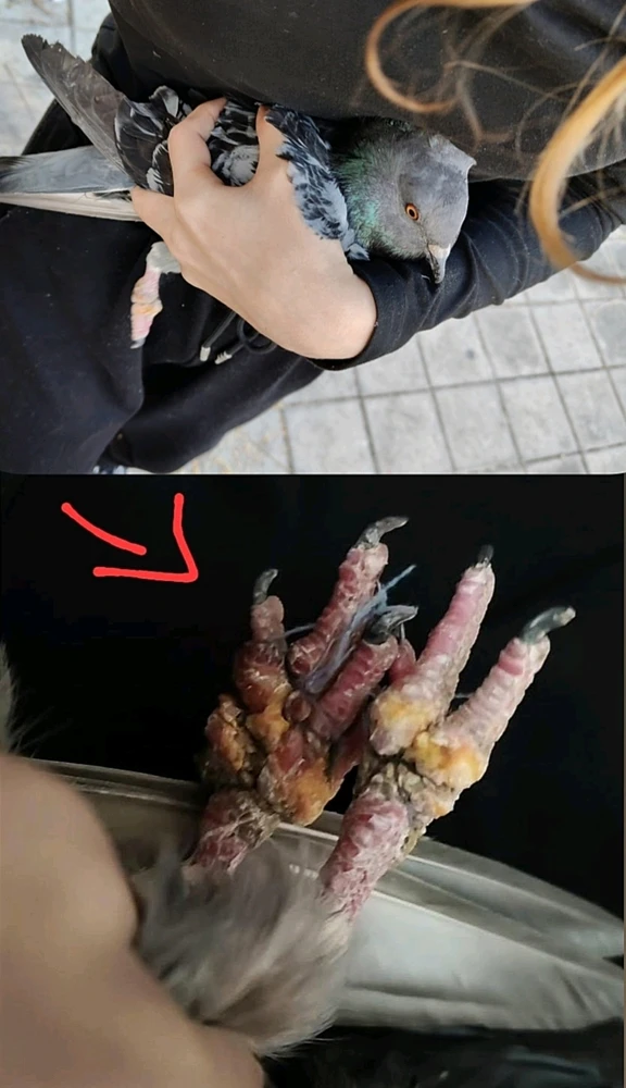 Imagen subida por Michi