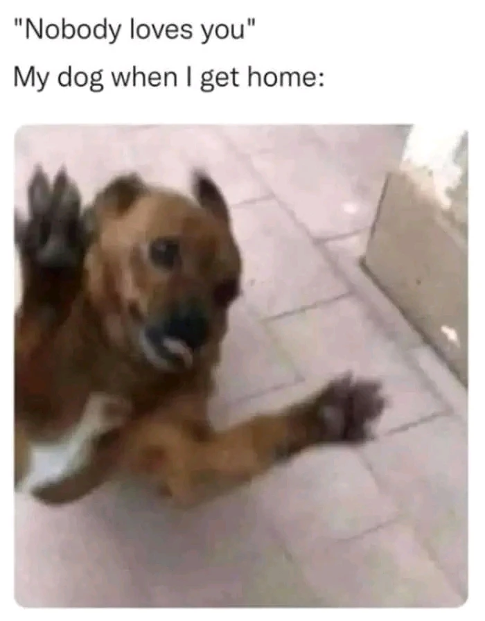 GIF uploaded by 《🌹.::Lenöré::.🌹》