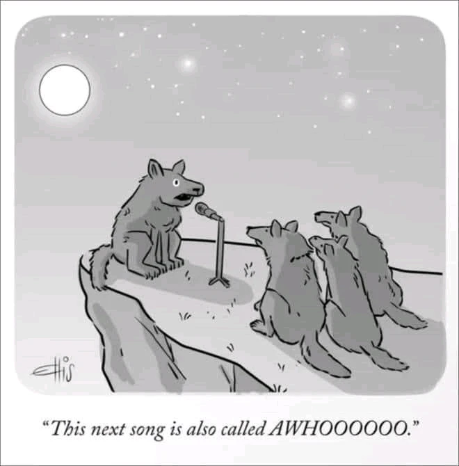 GIF ajouté par Mickaël