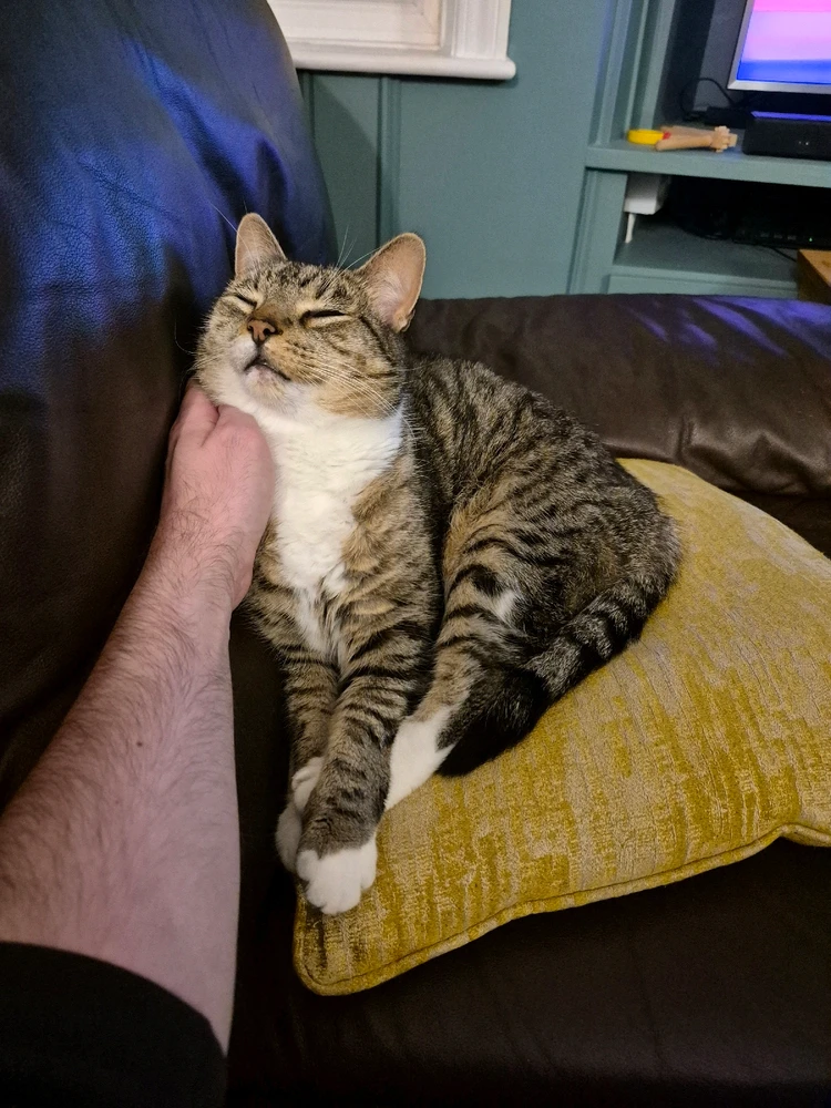 GIF uploaded by David