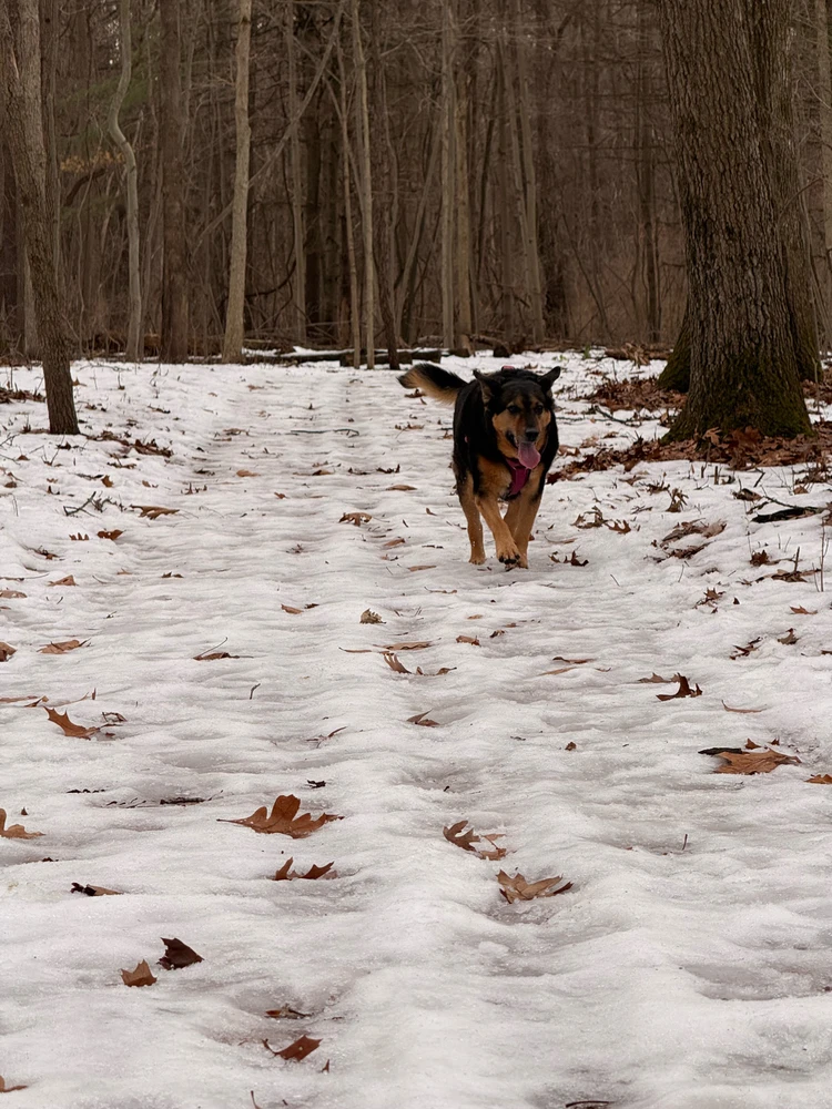 Image uploaded by Jeff