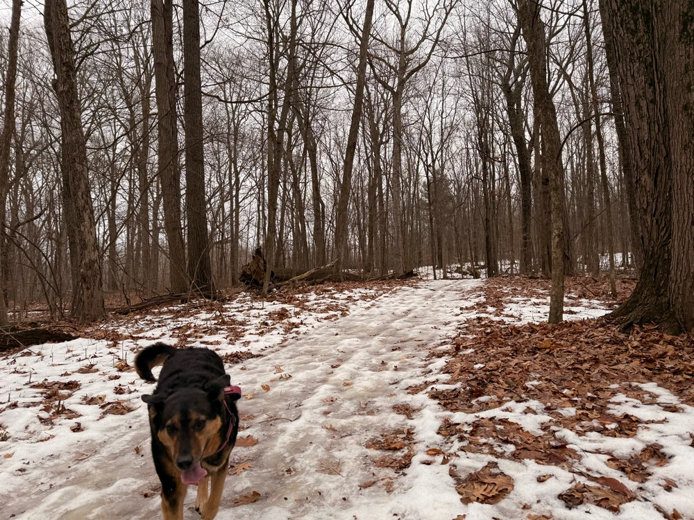 Image uploaded by Jeff