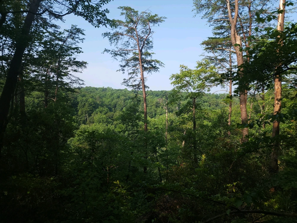 Image uploaded by Mike