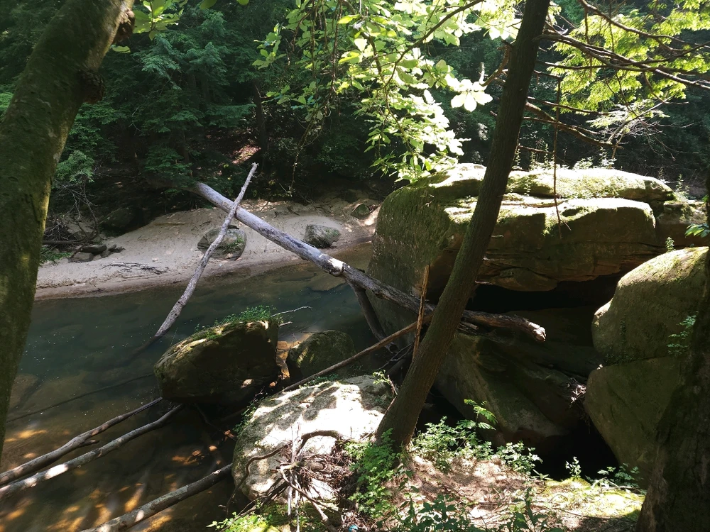 Image uploaded by Mike