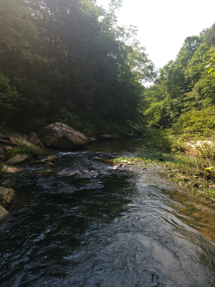 Image uploaded by Mike