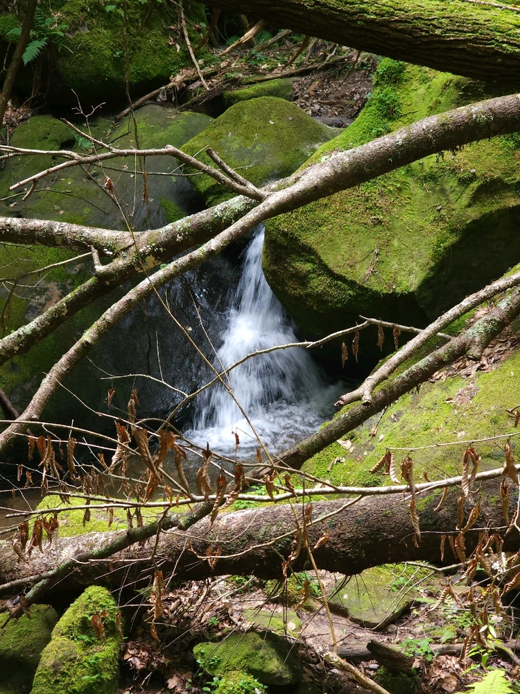 Image uploaded by Mike