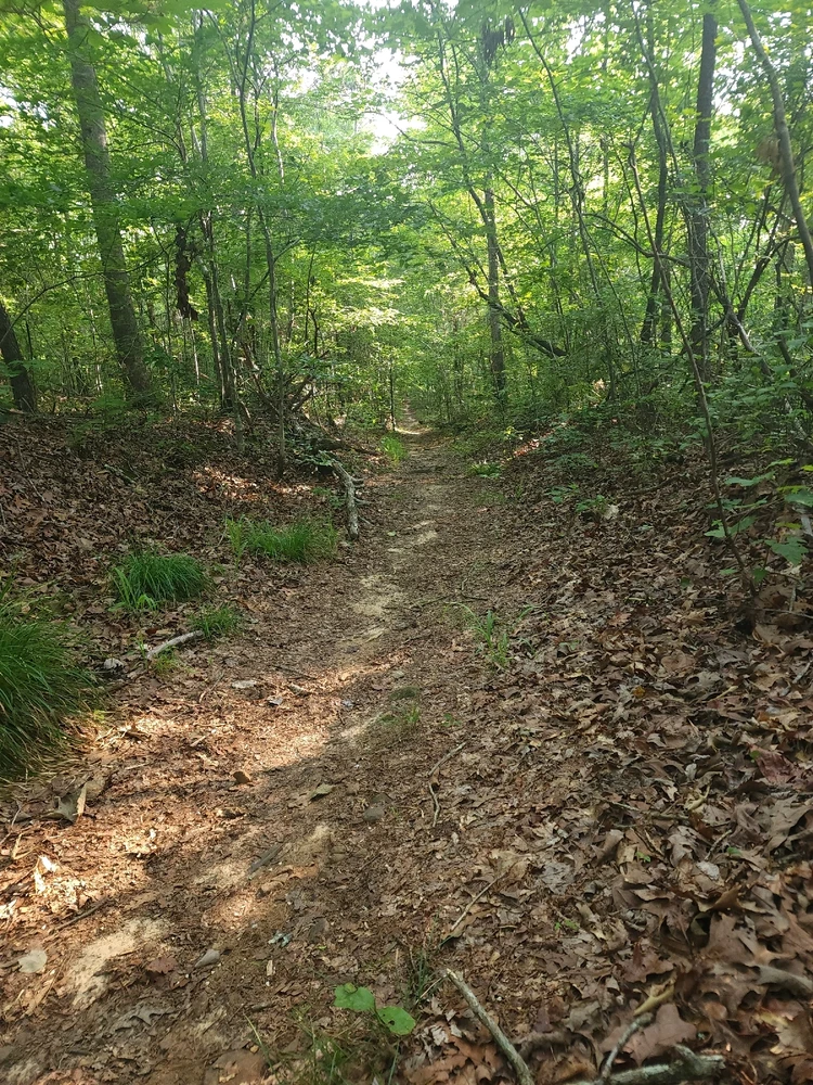 Image uploaded by Mike