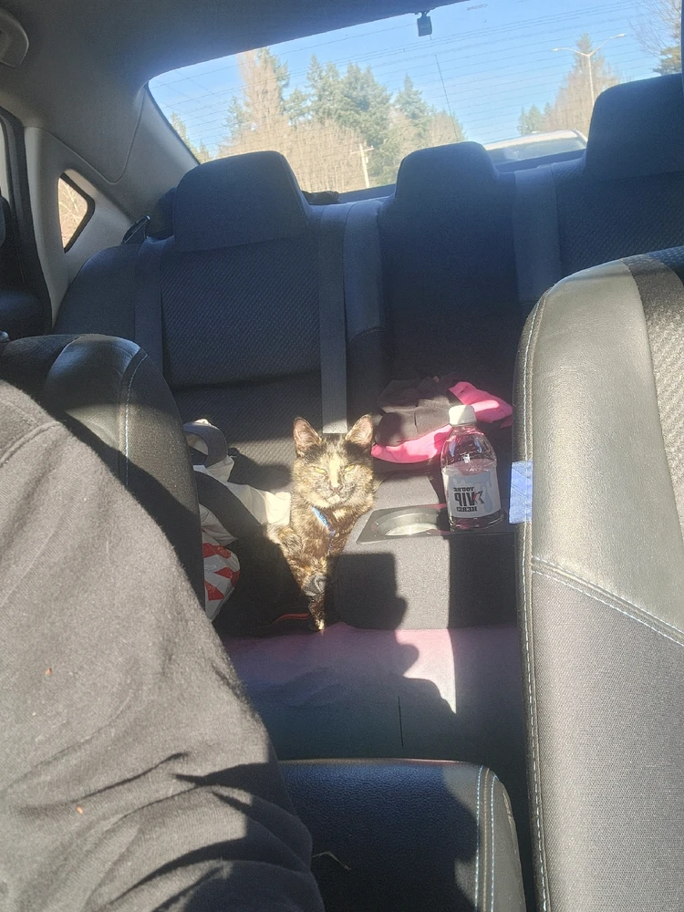 GIF uploaded by Johann