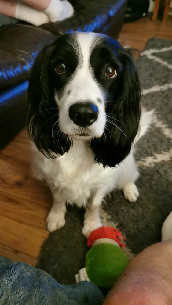 GIF uploaded by Jamie