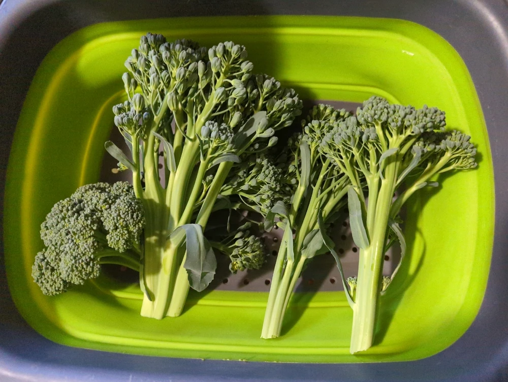 GIF uploaded by Jose