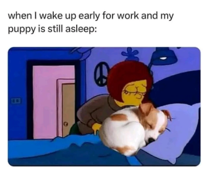 GIF uploaded by 《🌹.::Lenöré::.🌹》