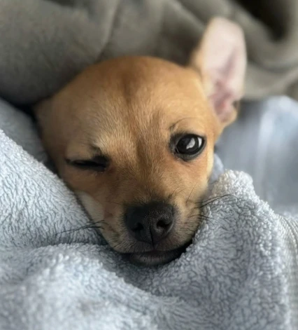 GIF uploaded by Will