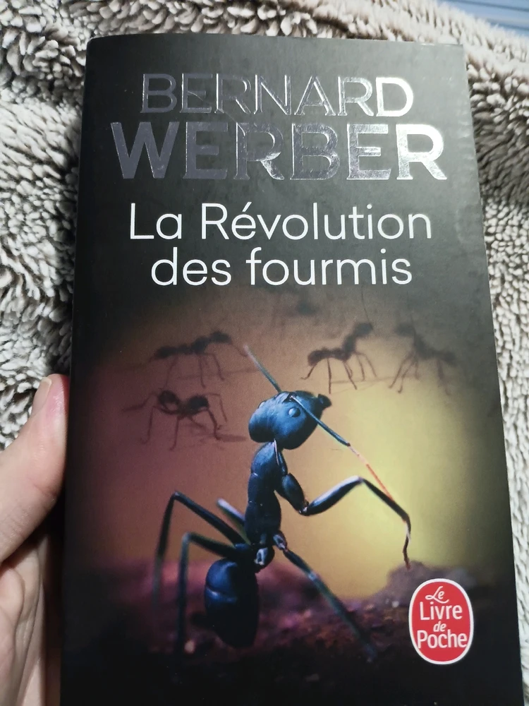 Image ajoutée par Jonathan