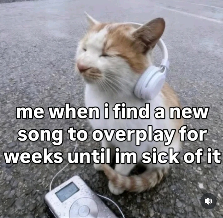 GIF uploaded by Dona 🦝👻🦝